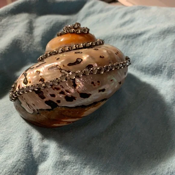 Decorated Sea shell with a wonderful combination of mother of pearl colors. - Picture 5 of 6